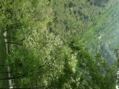 android_upload_pic-终南山南五台景区