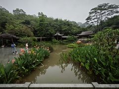 -广州市白云山风景名胜区