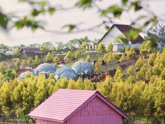 -紫颐香薰山谷景区