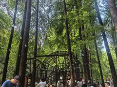 -波尔登森林公园