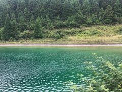 -武陵山森林公园