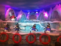 -帝企鹅自助餐厅•儿童岛•真企鹅(长隆企鹅酒店)