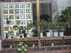 -晓芹海参(望京西园店)