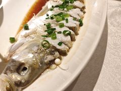 -金美华轩(东方路齐鲁店)