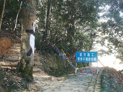 -千岛湖龙川湾