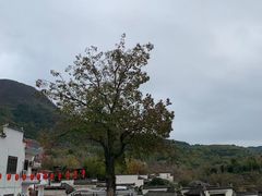 -塔川景区