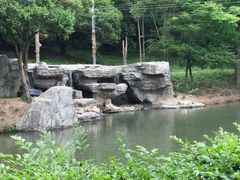 -宁波野生动物园