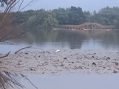 -西昌邛海湿地