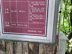 -靖西鹅泉风景区
