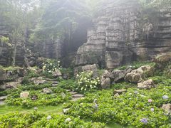 -梭布垭石林景区