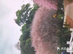 -桃花涧