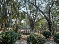 -西双版纳傣族园