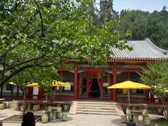 -宫事颐庭·老佛爷贵寿下午茶(颐和园店)