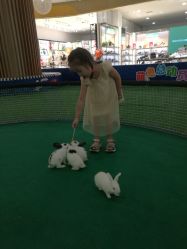 -萌宠亲子动物乐园(槐房万达店)