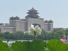-莲花池公园