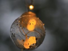 -宁波五龙潭景区