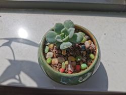 -尚艺造型.剪烫染.接发