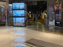 -上海金逸影城(静安大悦城店（原新恒星影城）)