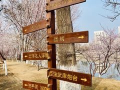 -桃花堤公园
