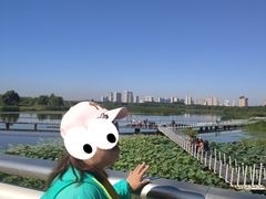 -哈尔滨大剧院