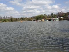 -上海长兴岛郊野公园