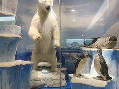 -国家自然博物馆