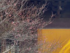 -慧因高丽寺