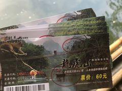 -广西龙虎山风景区