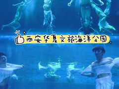 -华夏文旅海洋公园