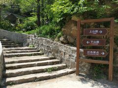 -大岭沟猕猴桃谷风景区