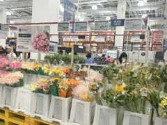 -山姆会员商店(上海浦东店)