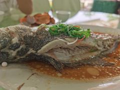 清蒸海鱼-景好海鲜餐厅(大鹏必选旅游店)