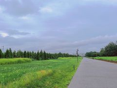 -汉长安城未央宫国家考古遗址公园