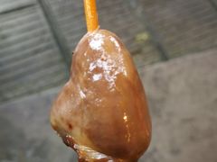 -袁记花椒鸭