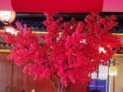 -探花·意境江南菜·唐伯虎文化体验店·松鼠桂鱼(观前店)