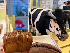 -红星前进面包牛奶公司(君太店)