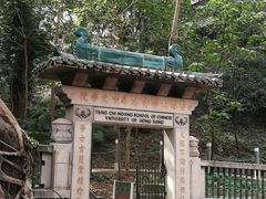 -香港大学