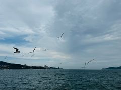 -幸福门
