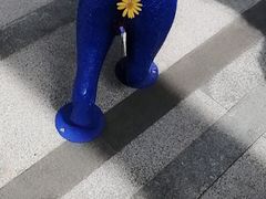 -中海环宇荟