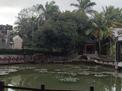 -蔡家宅