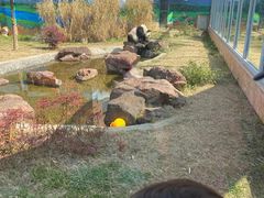 -苏州太湖国家湿地公园