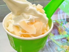 -Salud撒露欧洲冻酸奶(蓝色港湾店)