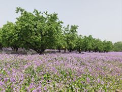 -江苏三台山国家森林公园