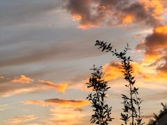 -安吉龙王山峡谷漂流