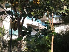 -三亚亚龙湾雅高美爵酒店