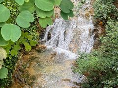 -南海湾森林生态园