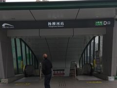 -杨柳河(地铁站)