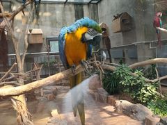 -大连森林动物园