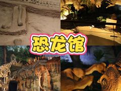 -中国西峡恐龙遗迹园