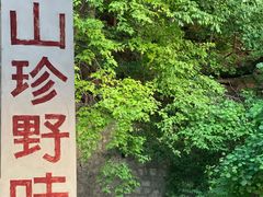 -青龙潭鱼庄
